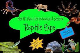 Reptile Expo 2019