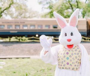 The Easter Egg Express–River Fox Train