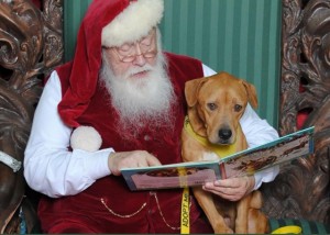 Santa reading to a dog