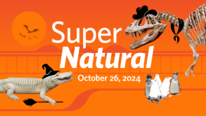 Super Natural graphic with dinosaur and alligator in Halloween costume