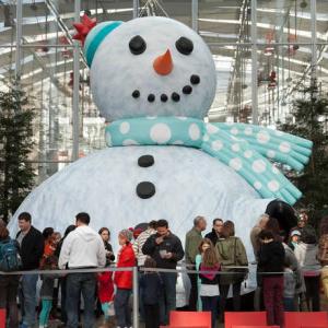 Tis the Season at California Academy of Science