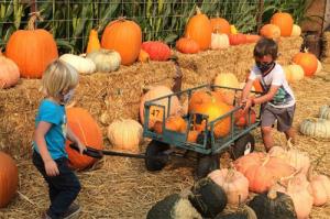 Weekend Along Farm Trails