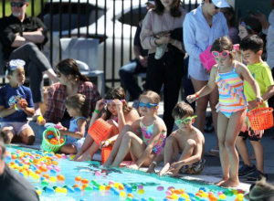 Sonoma: EGGstravaganza