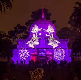 Night Bloom–Conservatory of Flowers, San Francisco
