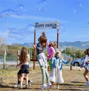 Giant Bubble Show at The Happy Dahlia Farm