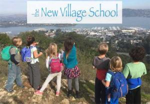 the new village school