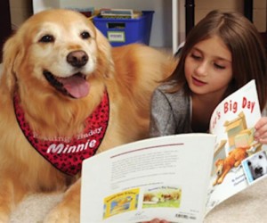 Novato Library: Read to a Dog