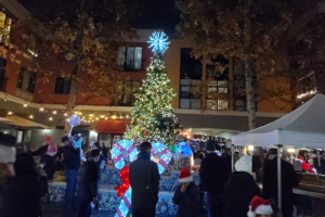 Tree lighting holiday christmas petaluma