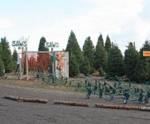 Frosty Mountain Tree Farm, Sebastopol