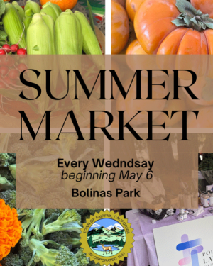 Fairfax Farmers Market, Bolinas Park