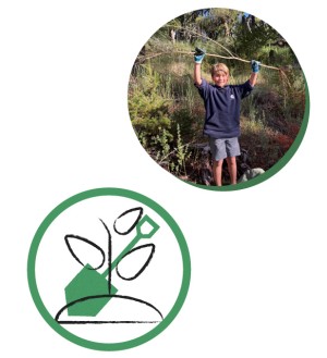 Habitat Restoration by Bon Tempe Lake