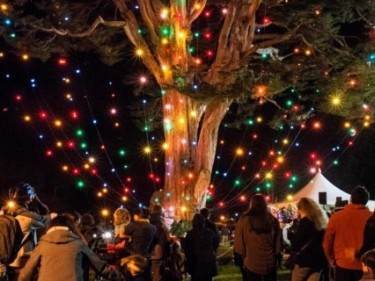 McLaren Lodge Holiday Tree Lighting