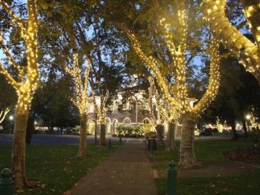 Sonoma Plaza with holiday lights