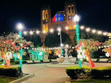 Nob Hill Holiday tree lighting