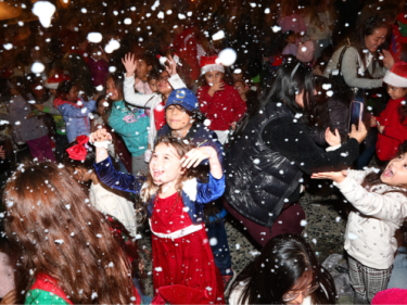 San Francisco’s Civic Center Plaza Tree Lighting
