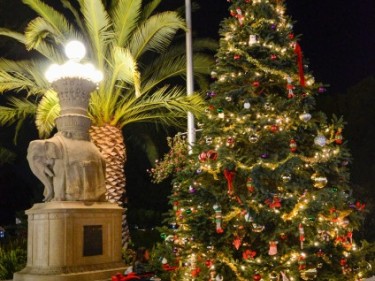 Sausalito Holiday Tree Lighting