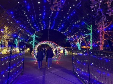 Marin Holiday Light Spectacular