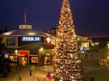 Pier 39 Christmas Tree