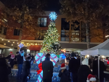 Tree lighting holiday christmas petaluma