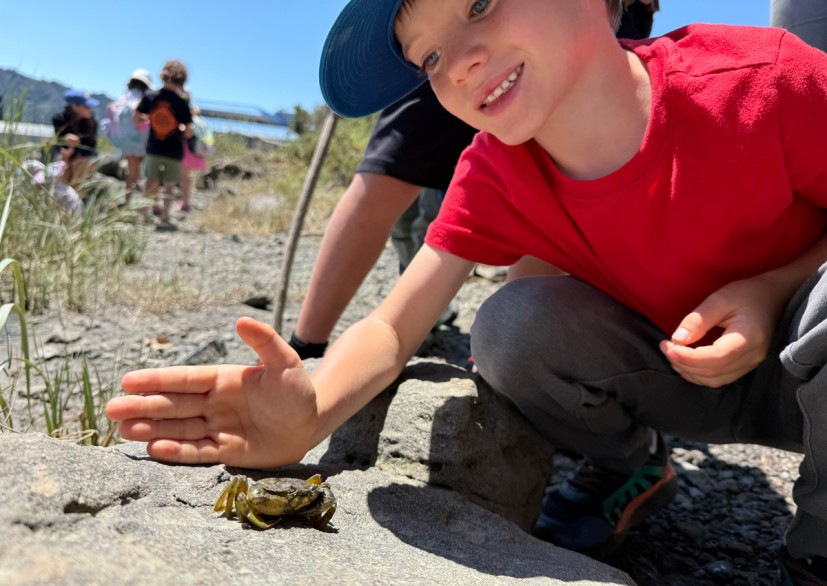 Watershed Warriors at Marin GreenPlay Camp 