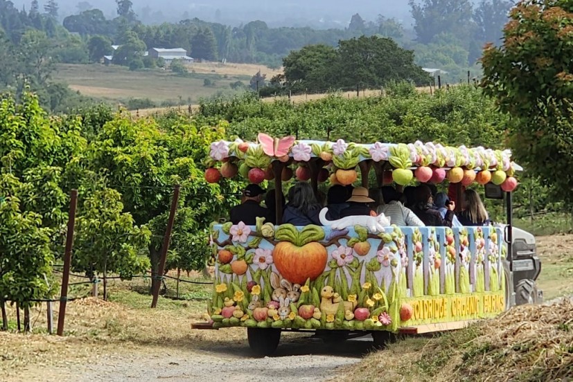 Apple trolley at Gold Ridge Organic Farms