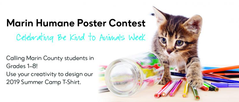 Marin Humane Poster Contest