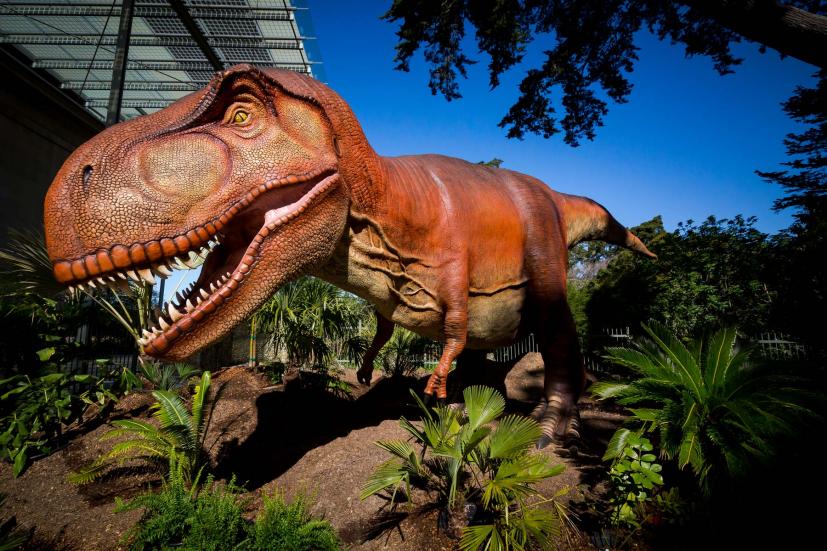 Dino Days at California Academy of Sciences