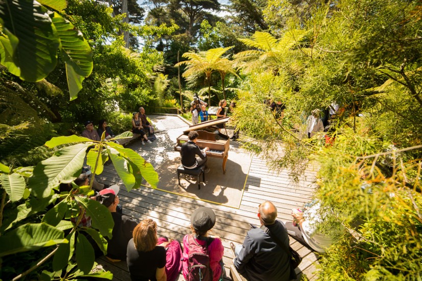 Flower Piano, SF Botanical Garden