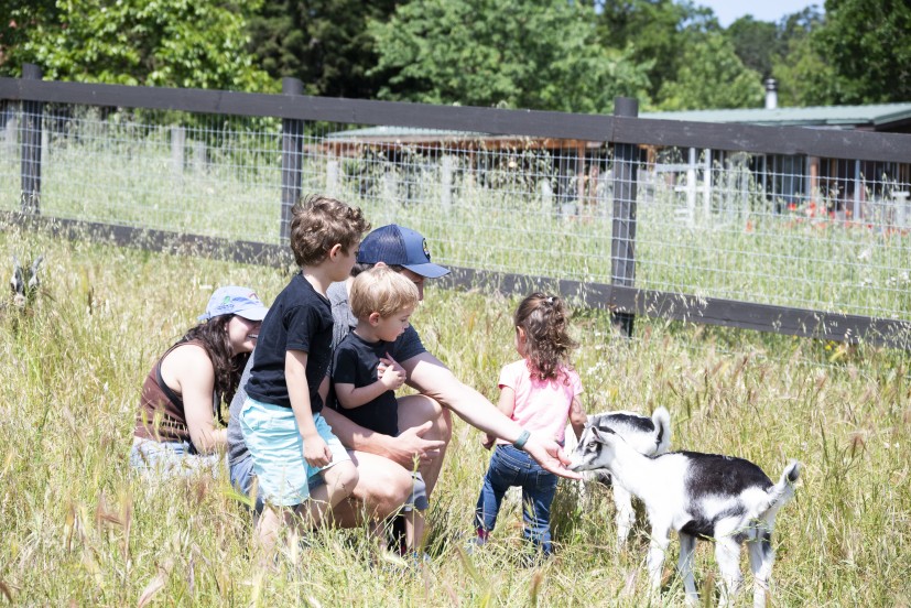 Marin & Bay Area Weekend Family Fun for May 1–3