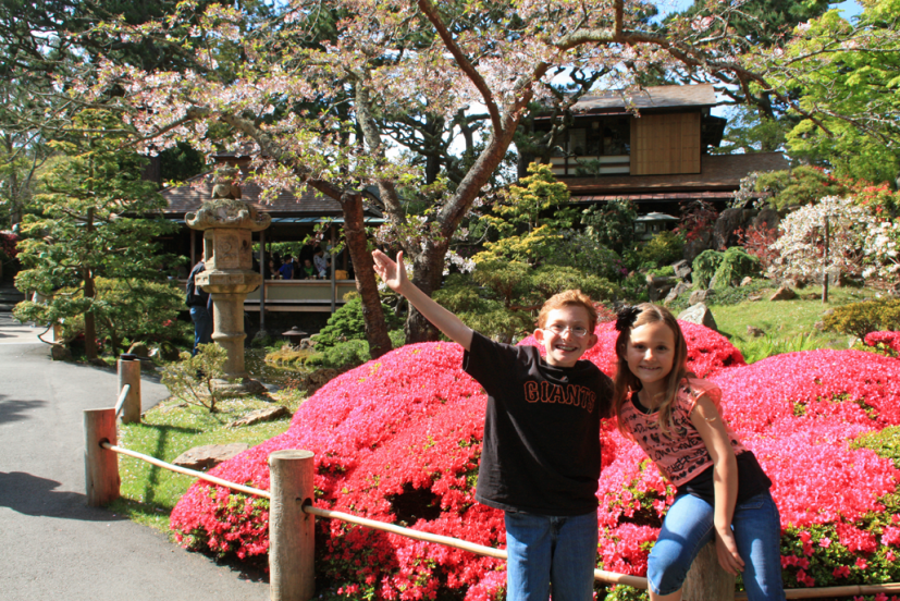 Japanese Tea Garden San Francisco