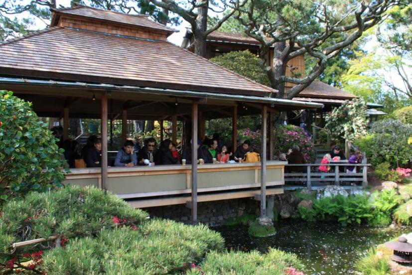 Spring Is In Bloom At The Japanese Tea Garden Marin Mommies