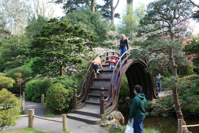 Spring Is In Bloom At The Japanese Tea Garden Marin Mommies