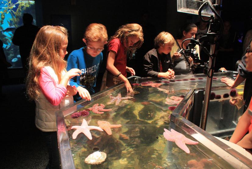 Museums For Kids In The Bay Area