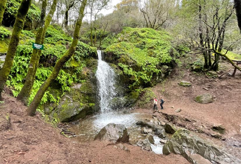 Fairway Waterfall, Novato