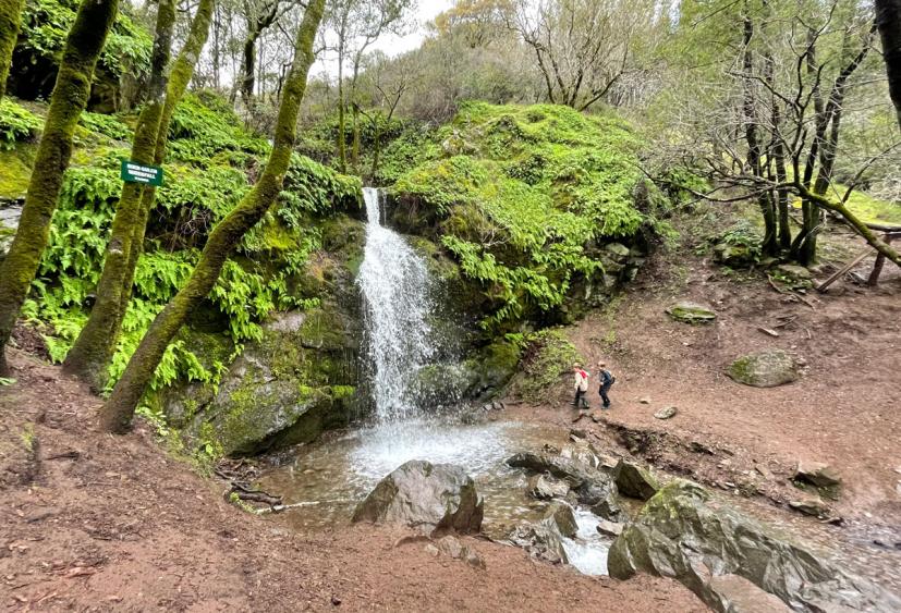 Fairway Waterfall, Novato