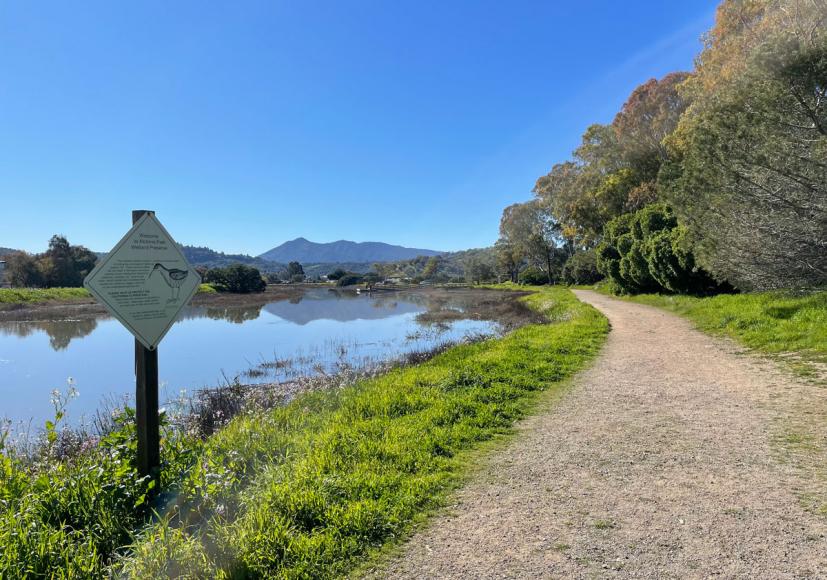 McInnis Park Wetlands Preserve, San Rafael