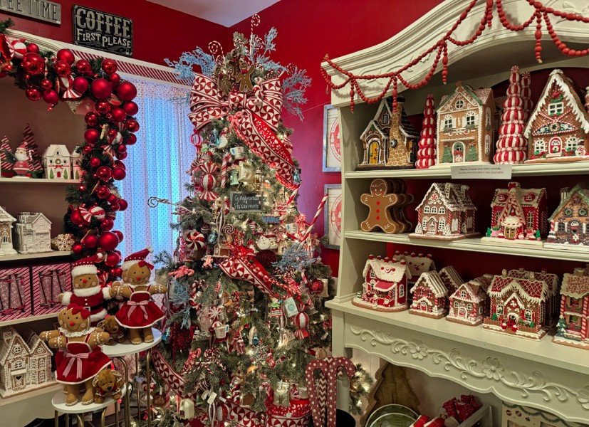 IMG_6940.jpg?itok=X3Mb6uyo