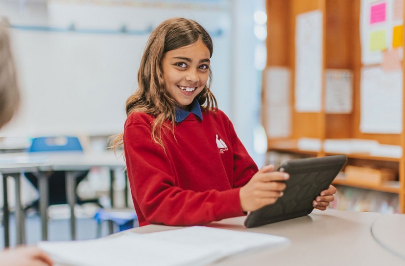 Mount Tamalpais School