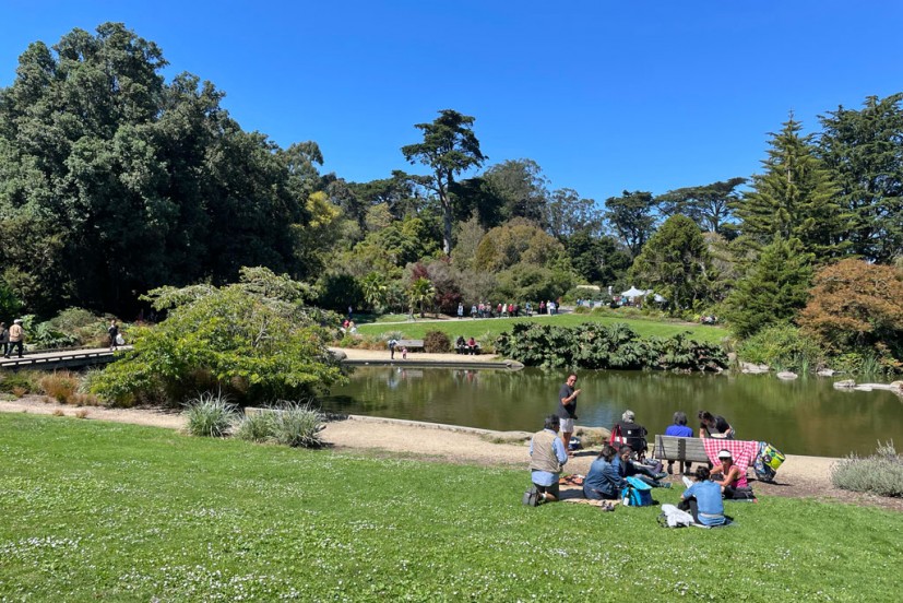 Strybing Arboretum San Francisco Botanical Garden