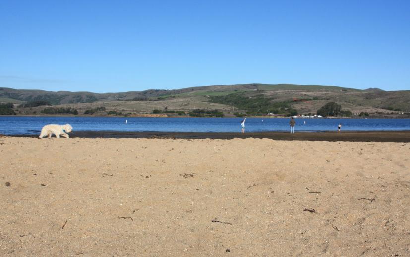 Best Marin County Beaches for Families