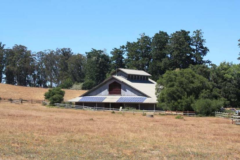 Outdoor Outings for Kids Bear Valley Visitor Center in Point Reyes