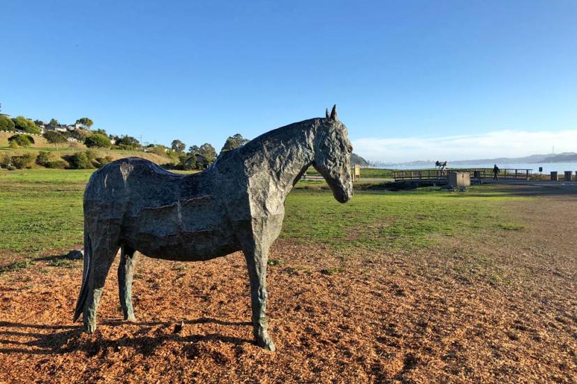 Located on the shores of San Francisco Bay in Tiburon, Blackie's Pasture Playground, also known as the Leo J. Tugenberg Playground, involves a pleasant walk or bike ride along the Tiburon Historical Trail.