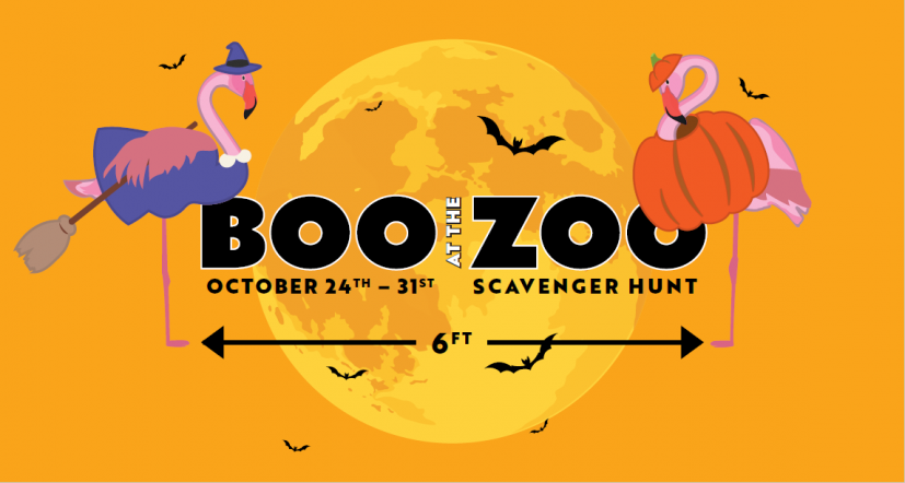 zoo halloween 2020 Rk Xznxsitxr2m zoo halloween 2020