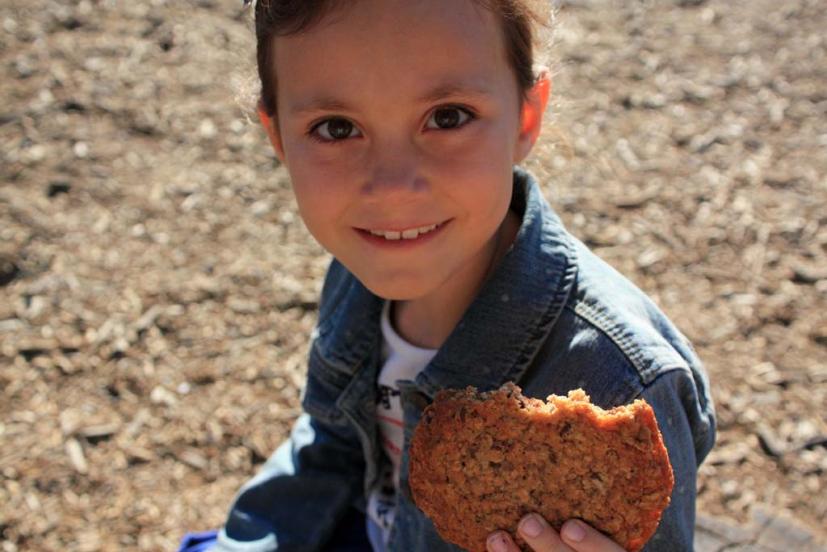 Bovine Bakery Cookie