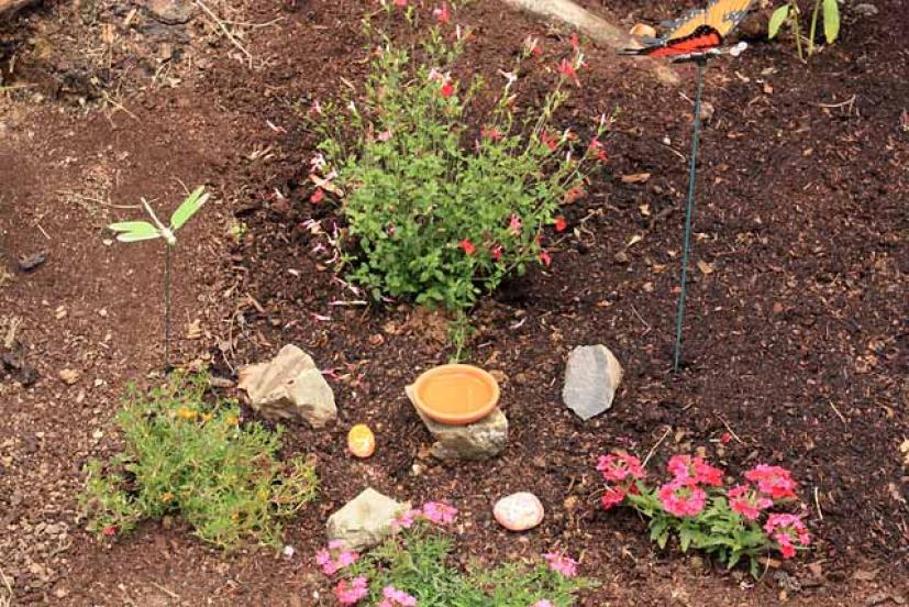 Create A Butterfly Garden In Your Backyard Marin Mommies