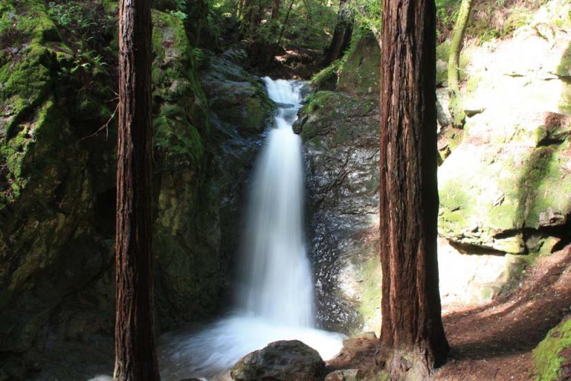 Cascade Falls Mill Valley