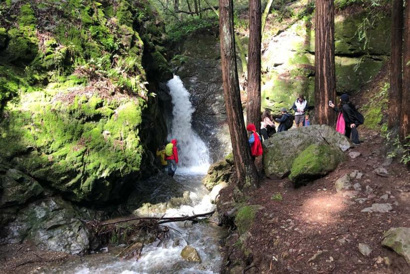 an easy family waterfall