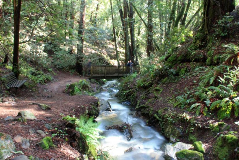 Cascade Falls Mill Valley