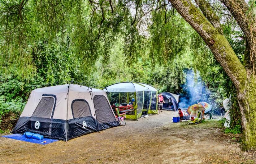 Casini Ranch Family Campground