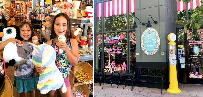 Celine's Sweets downtown Novato
